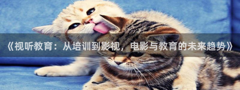 麦田影视官方网站入口：《视听教育：从培训到影视，电影与教育的未来趋势》