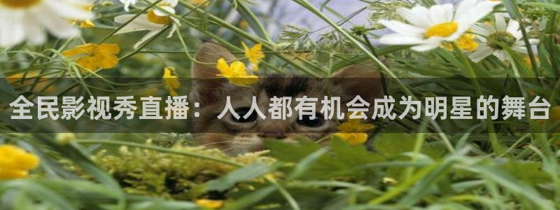 麦田视觉摄影怎么样：全民影视秀直播：人人都有机会成为明星的舞台