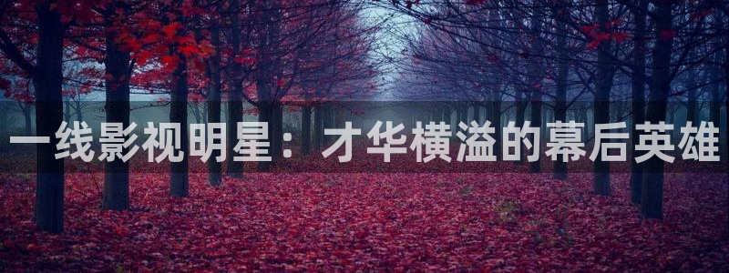 沂水麦田影城：一线影视明星：才华横溢的幕后英雄