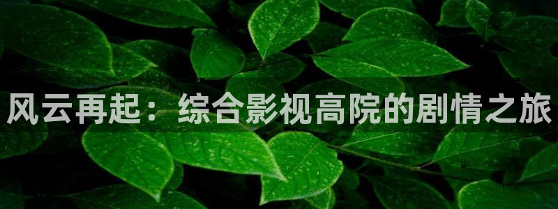 麦田影院app：风云再起：综合影视高院的剧情之旅