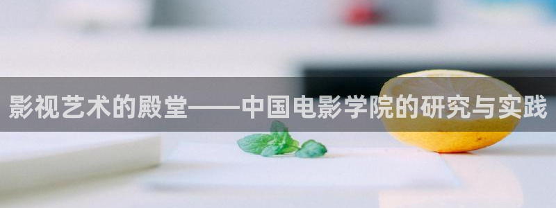 麦田在线观看：影视艺术的殿堂——中国电影学院的研究与实践