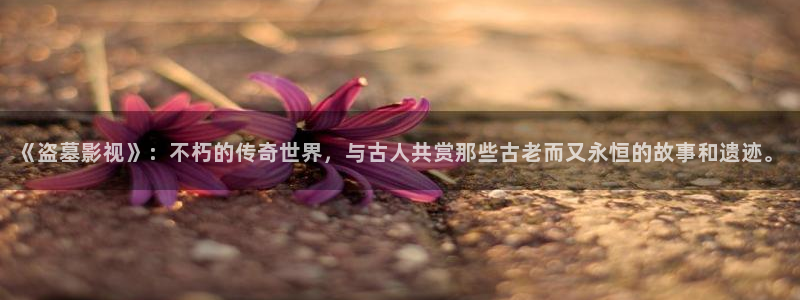 麦田 北京：《盗墓影视》：不朽的传奇世界，与古人共赏那些古老而又永恒的故事和遗迹。