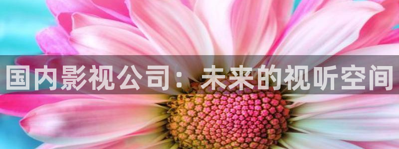 麦田影视：国内影视公司：未来的视听空间