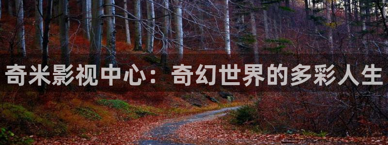 北京 麦田：奇米影视中心：奇幻世界的多彩人生