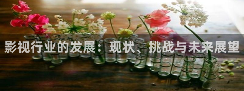 麦田实拍：影视行业的发展：现状、挑战与未来展望